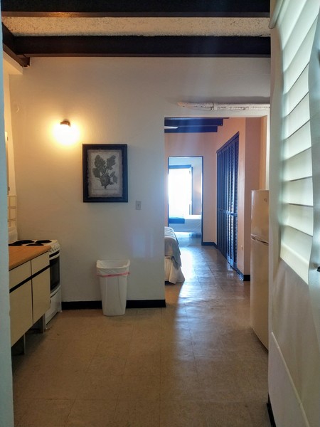 Balcony with Ocean View Photo 9