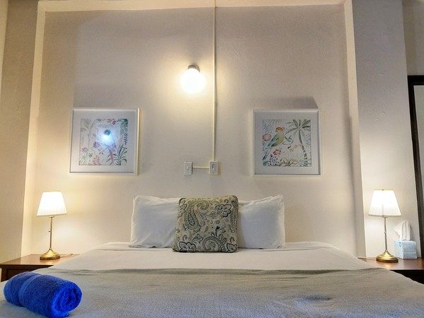 Balcony with Ocean View Photo 7