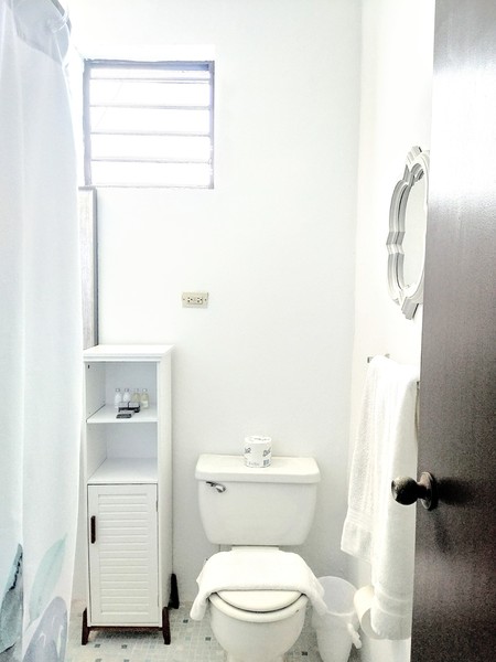 Zen Atlantis Photo 19